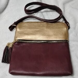 Elegant Metallic Gold and Cordobin Red Crossbody Bag